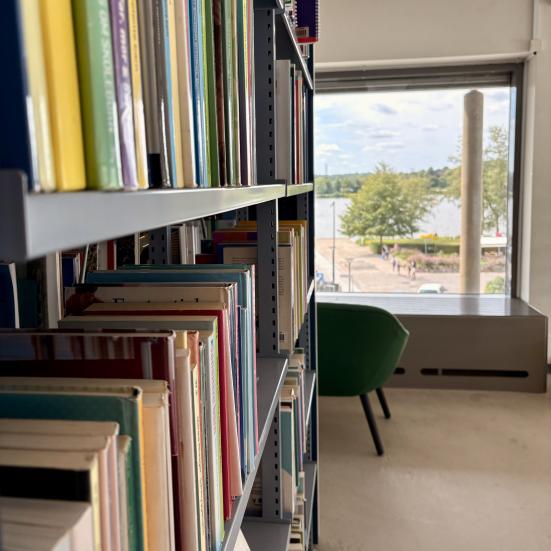 Find trøst i litteraturen